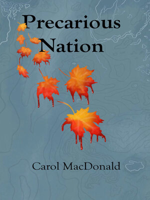 cover image of Precarious Nation